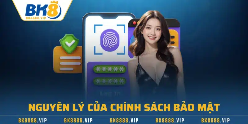 Chính Sách Bảo Mật – An Toàn Tối Đa Dữ Liệu Người Dùng